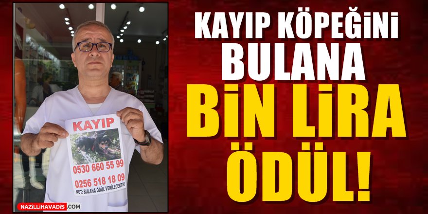 Kayıp köpeğini bulana bin lira ödül!