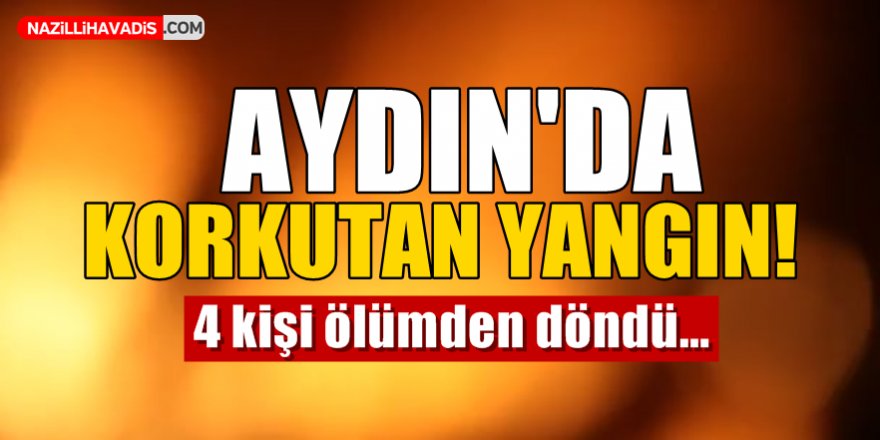 Aydın'da Korkutan Yangın!