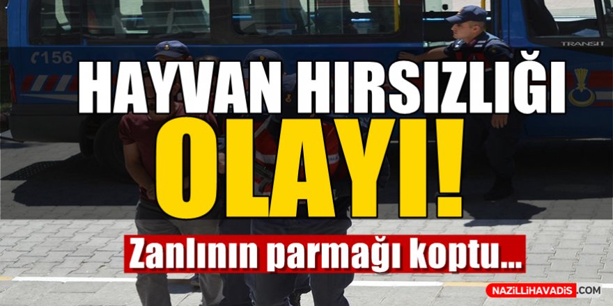 Hayvan Hırsızlığı Olayı!