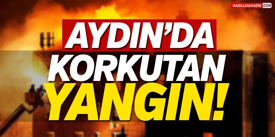 Aydın'da Korkutan Yangın!