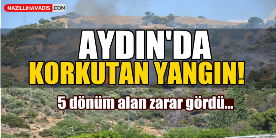 Aydın'da Korkutan Yangın!