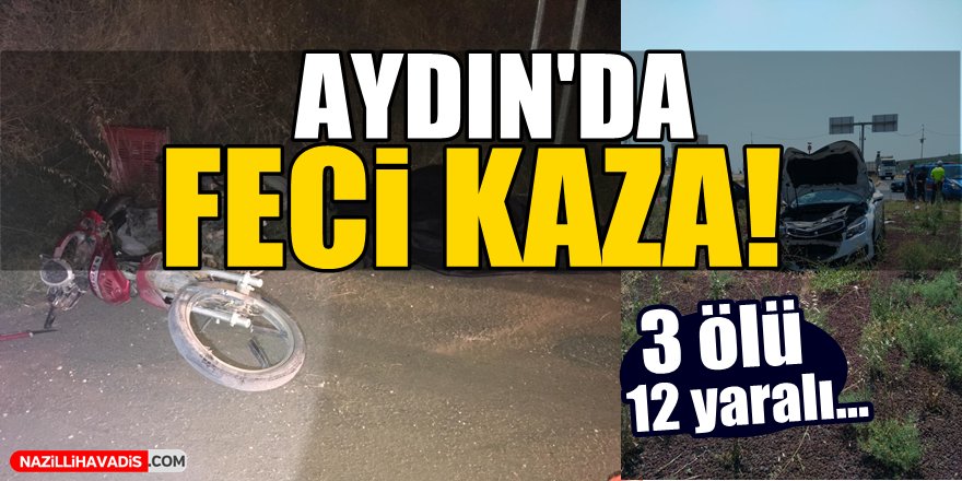 Aydın'da feci kaza!