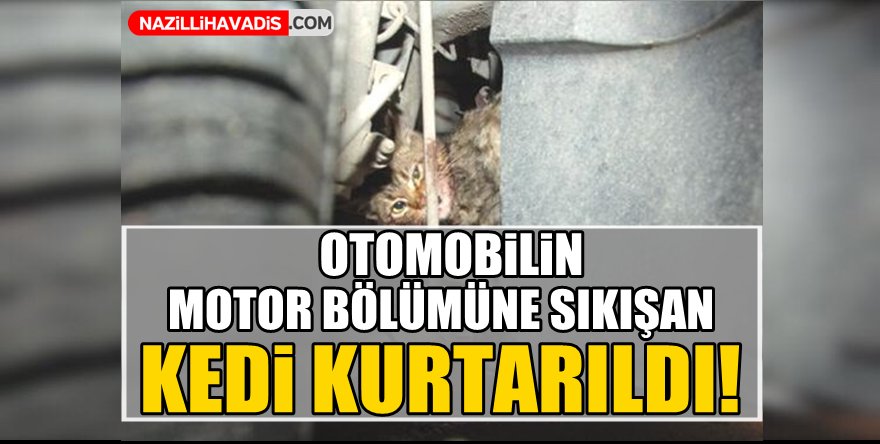 Otomobilin motor bölümüne sıkışan kedi kurtarıldı!