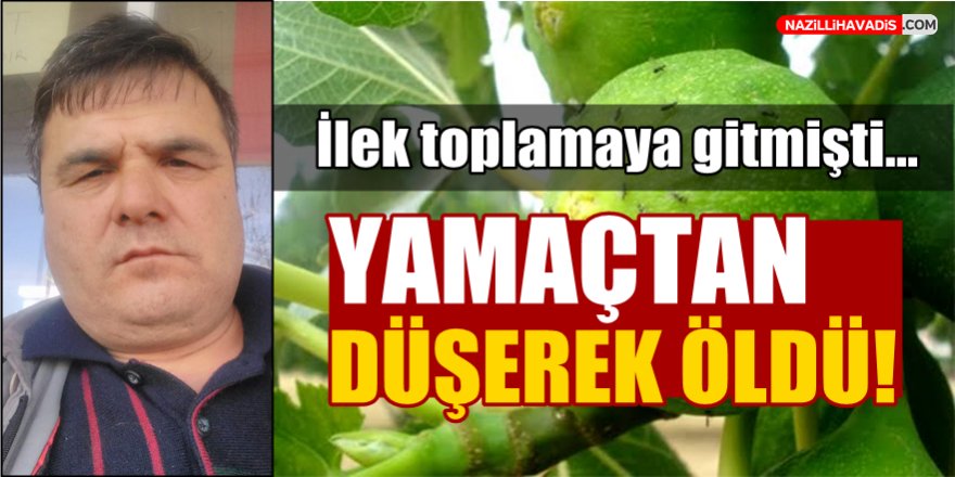 İlek toplarken yamaçtan düşerek öldü!