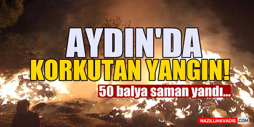 Aydın'da Yangın!