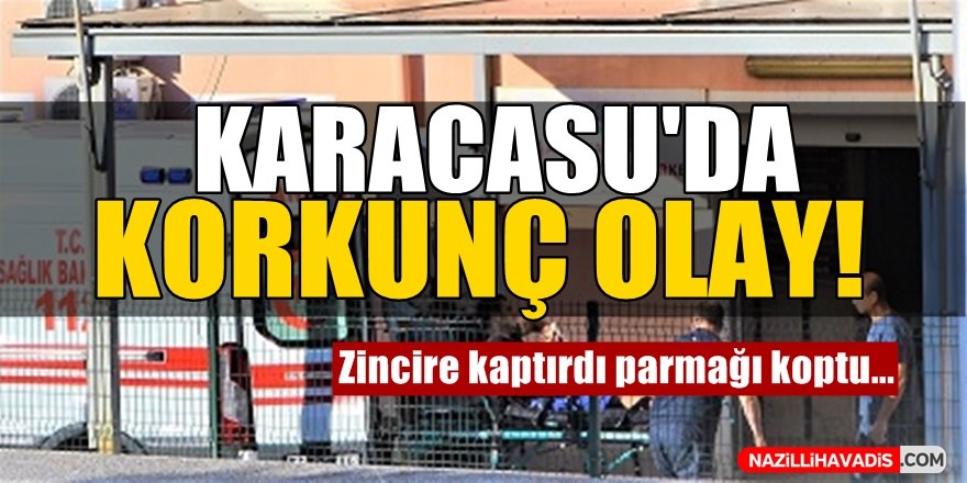 Karacasu'da Korkunç Olay!