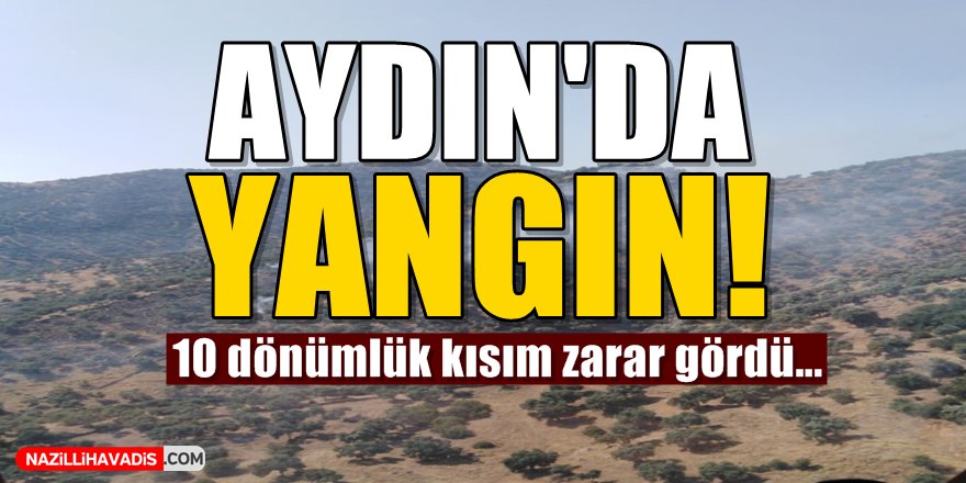 AYDIN'DA YANGIN!