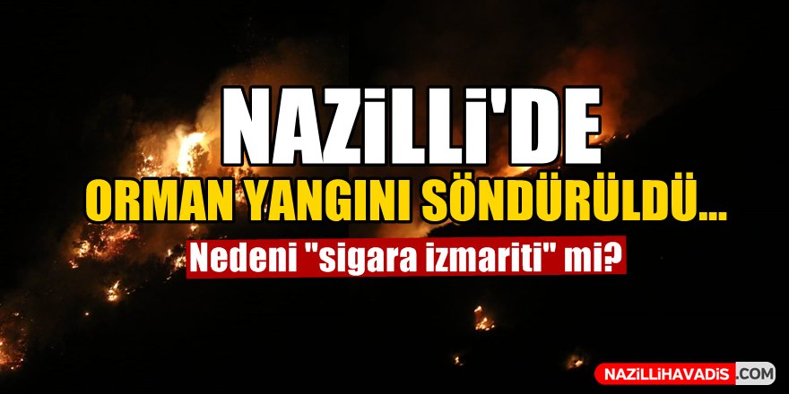 Nazilli'de orman yangın söndürüldü...