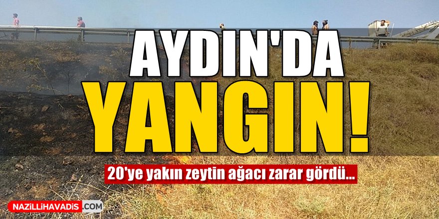 Aydın'da Yangın!