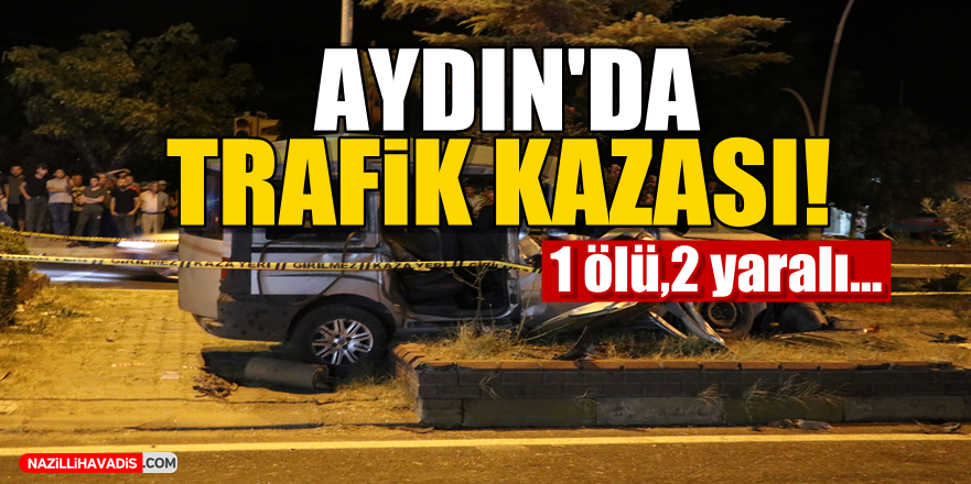 Aydın'da Trafik Kazası