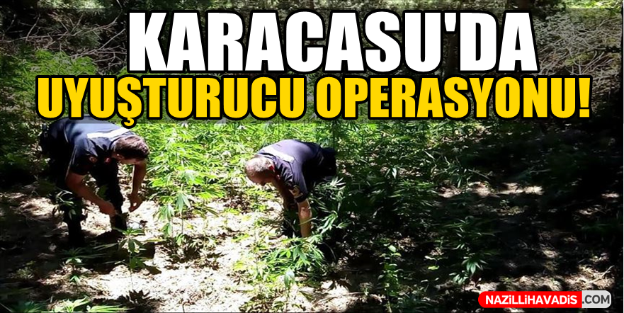 Karacasu'da Uyuşturucu Operasyonu!