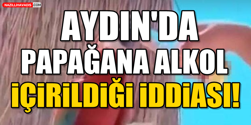 Aydın'da papağana alkol içirildiği iddiası!