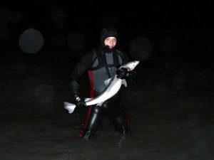 Köpek Balığını Yaşatabilmek İçin Her Şeyi Yaptı