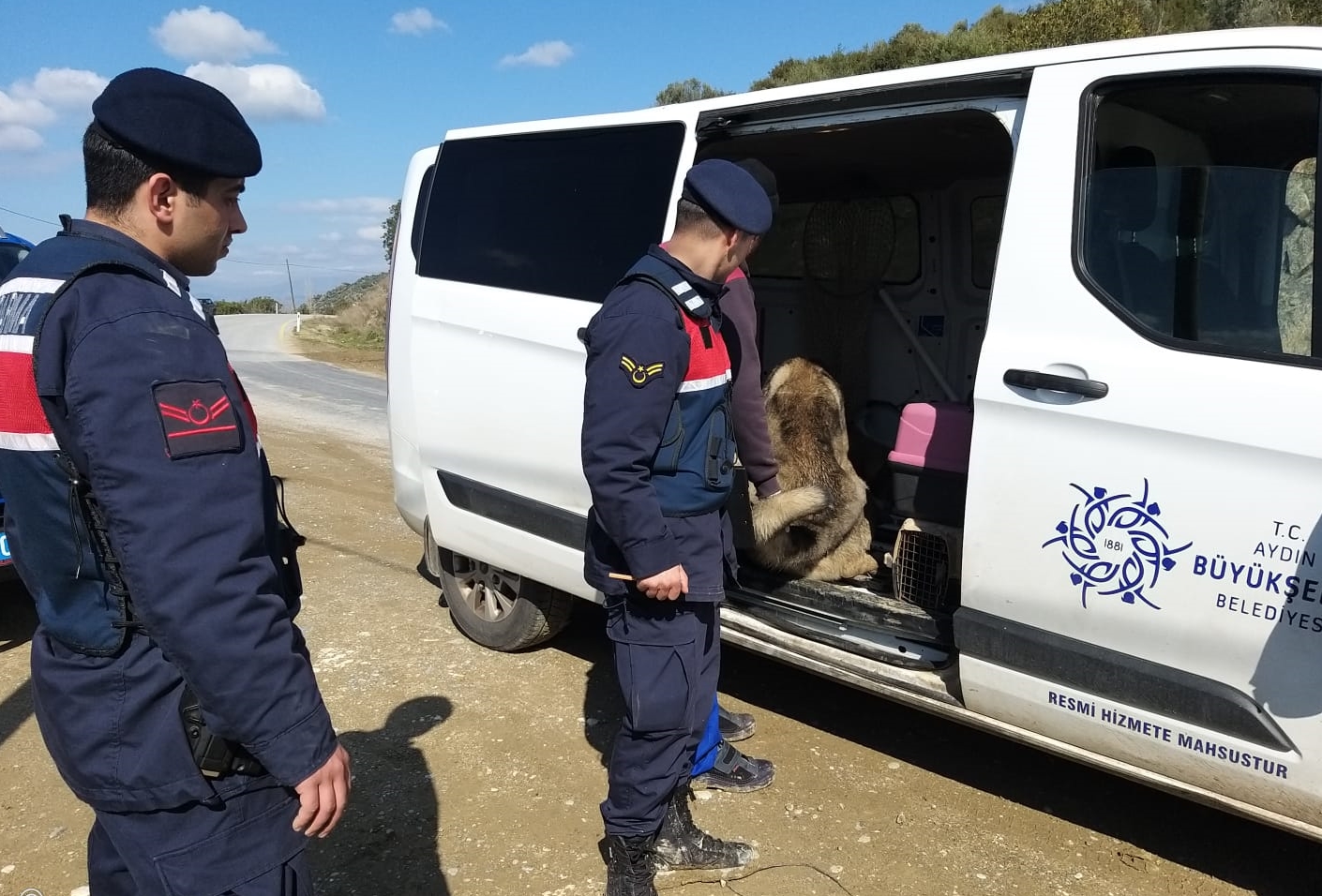 NAZİLLİ’DE KÖPEK DÖVÜŞTÜREN ŞAHISLAR YAKALANDI; 3 GÖZALTI