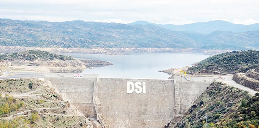 Aydın'da kendini baraja attı