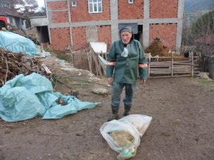 Çiçek Aşısı Sonrası Koyunların Telef Olduğu İddiası