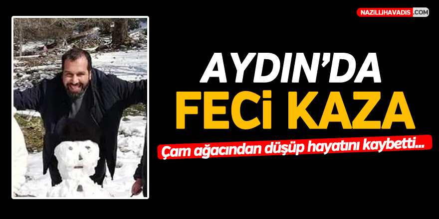 AYDIN'DA FECİ KAZA...ÇAM AĞACINDAN DÜŞÜP HAYATINI KAYBETTİ...