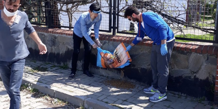 NAZİLLİLİ HAYVANSEVERLER SOKAK HAYVANLARININ UMUDU OLMAYA DEVAM EDİYOR