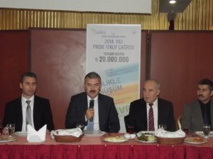 Ayyıldız: Aydınlılar Proje Sayısını Arttırmalı