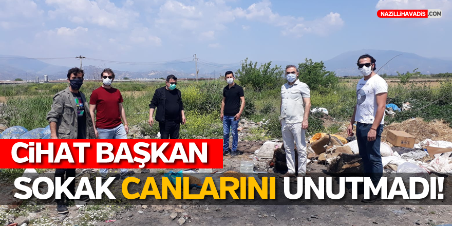 CİHAT BAŞKAN, SOKAK CANLARINI UNUTMADI