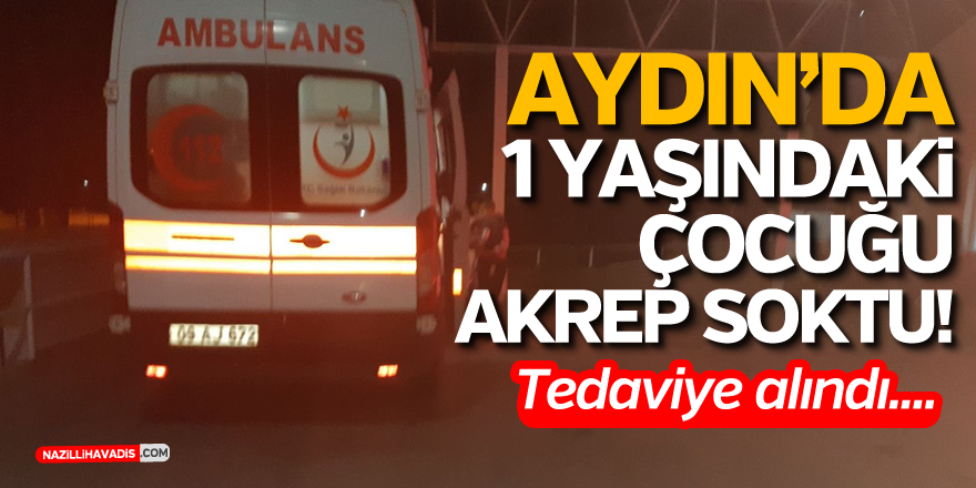 AYDIN'DA 1 YAŞINDAKİ ÇOCUĞU AKREP SOKTU!