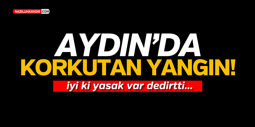 Aydın'da Yangın Panik Yarattı...3 Günlük Yasak Evi Yanmaktan Kurtardı