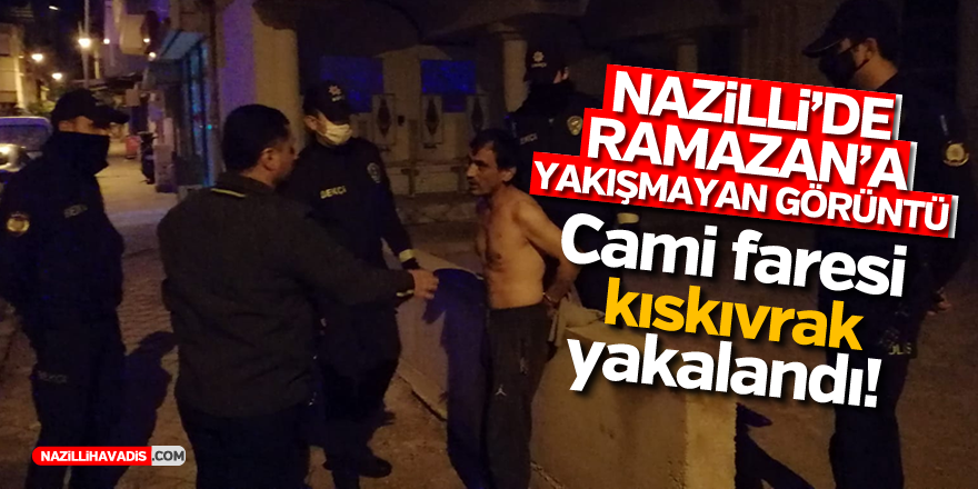 CAMİ FARESİ KISKIVRAK YAKALANDI!