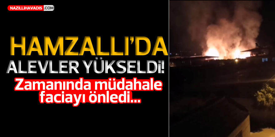 Hamzallı'da alevler yükseldi!