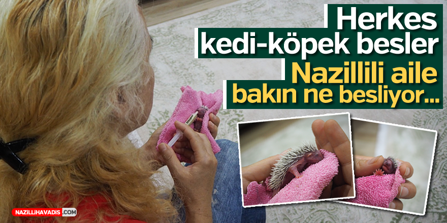 Nazilli'de aile minik yavruya sahip çıktı