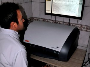 Hastane Gibi Hayvan Barınağı