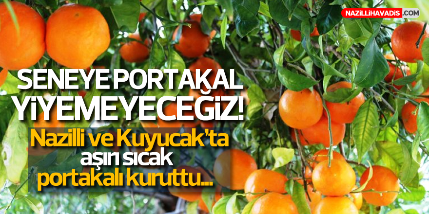 SENEYE PORTAKAL YİYEMEYECEĞİZ!