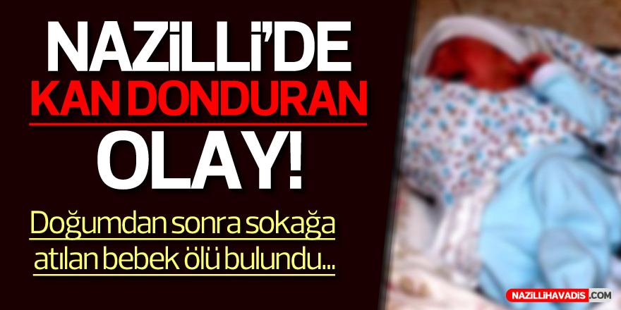 NAZİLLİ'DE KAN DONDURAN OLAY!