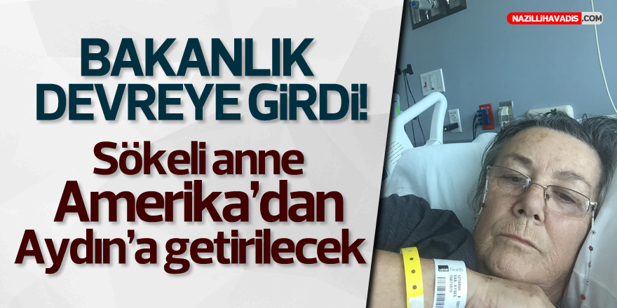 Bakanlık Devreye Girdi, Sökeli Anne Aydın’a Getirilecek