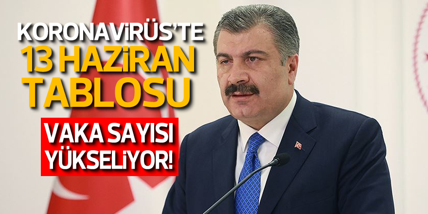 VAKA SAYISI YÜKSELİYOR!