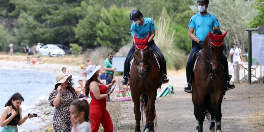 Kuşadası'ndaki milli parkta atlı tim göreve başladı