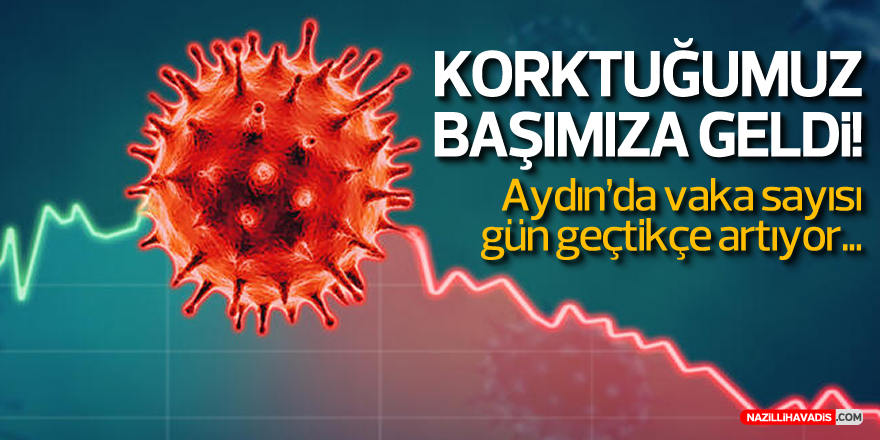 Aydın’a Normalleşme Yaramadı...
