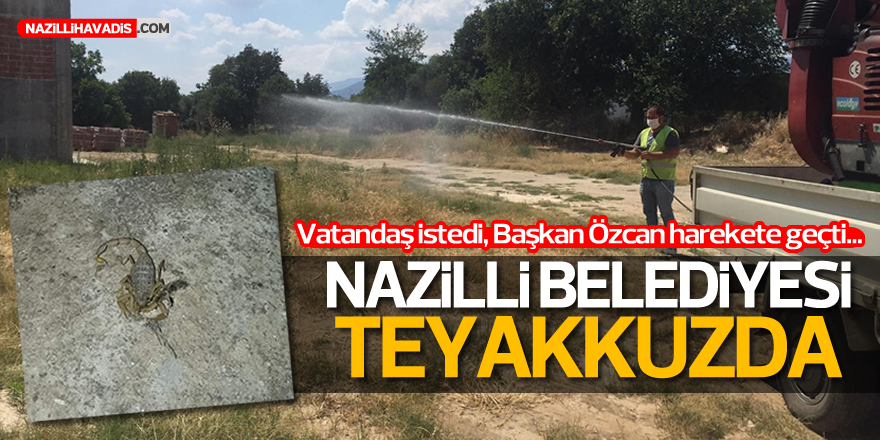 Nazilli’de mahalleler  akrep ve haşerelere karşı ilaçlandı