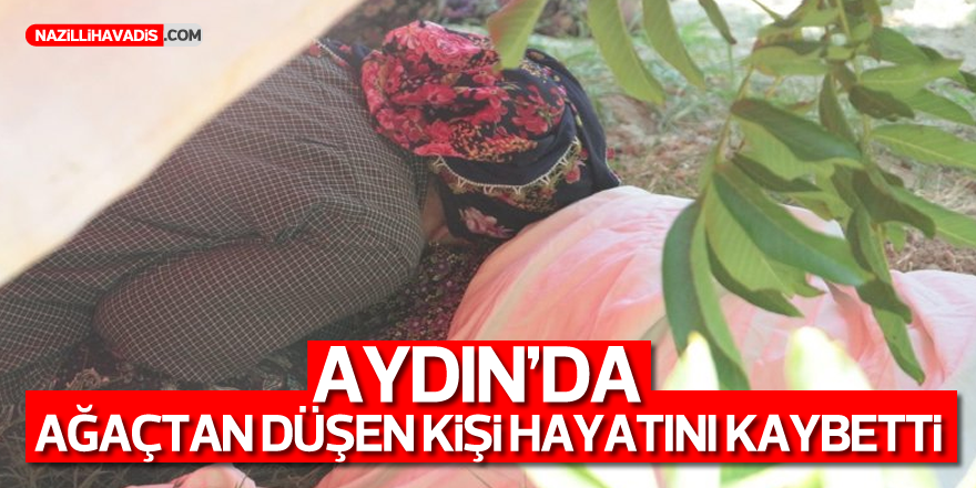 Aydın'da ağaçtan düşen kişi hayatını kaybetti