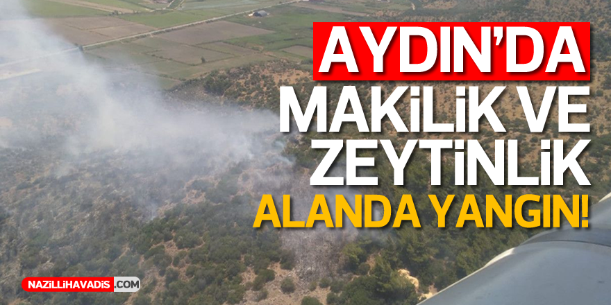 Aydın'da makilik ve zeytinlik alanda yangın