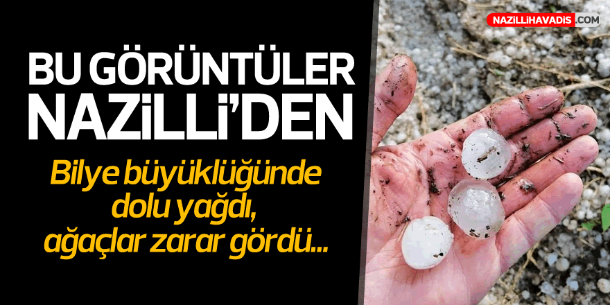 BU GÖRÜNTÜLER NAZİLLİ'DEN!