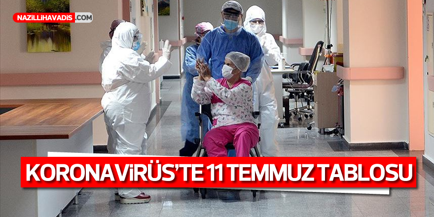 Türkiye'de Kovid-19 tedavisi tamamlananların sayısı 193 bin 217 oldu