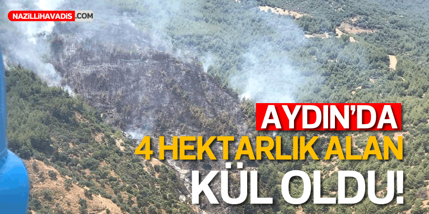 AYDIN'DA 4 HEKTARLIK ALAN KÜL OLDU