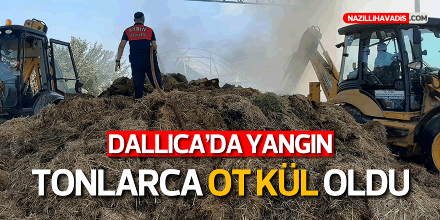 Dallıca'da Yangın! Tonlarca Ot Küle Döndü