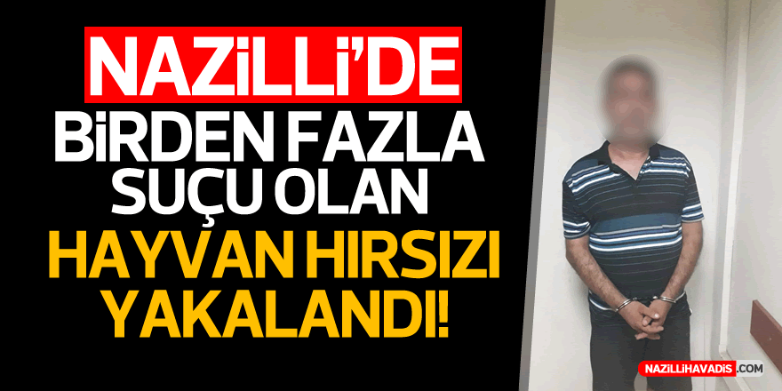 Hayvan Hırsızı Nazilli'de Yakalandı