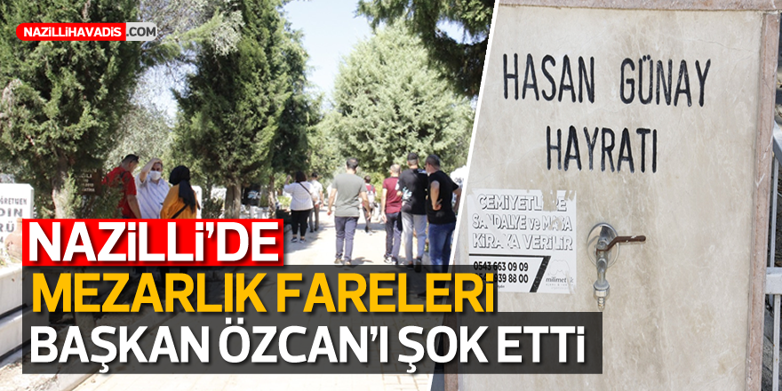 Nazilli’de mezarlık fareleri iş başında