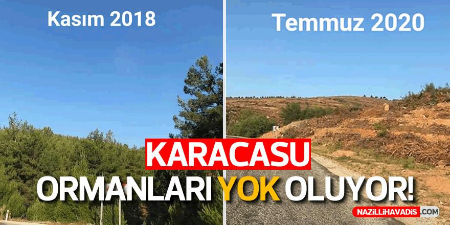 Çevreciler; “Karacasu Ormanları Yok Edilmesin!”