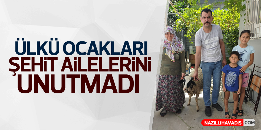 Aydın Ülkü Ocakları Şehit Ailelerine Kurban Dağıttı