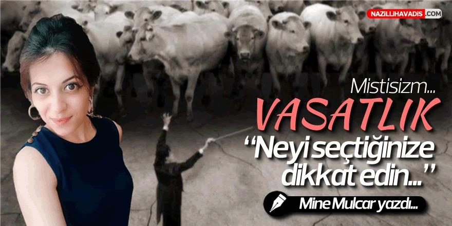 VASATLIK