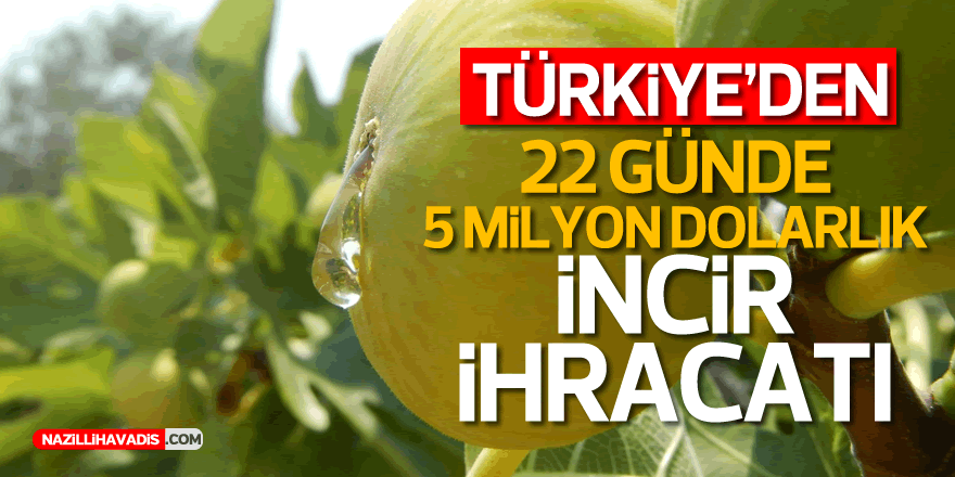 Türkiye'den 22 günde 5 milyon dolarlık incir ihracatı