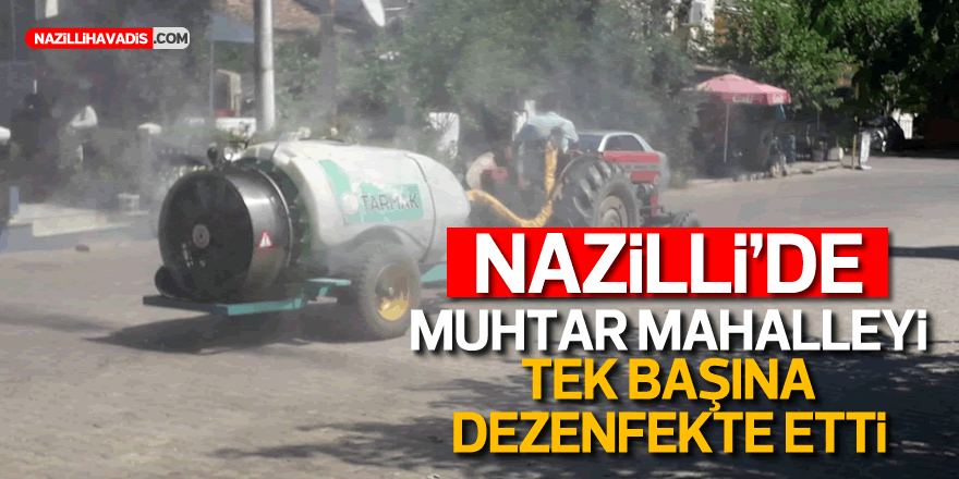 Muhtar dezenfektan istedi, mahalleyi ilaçladı